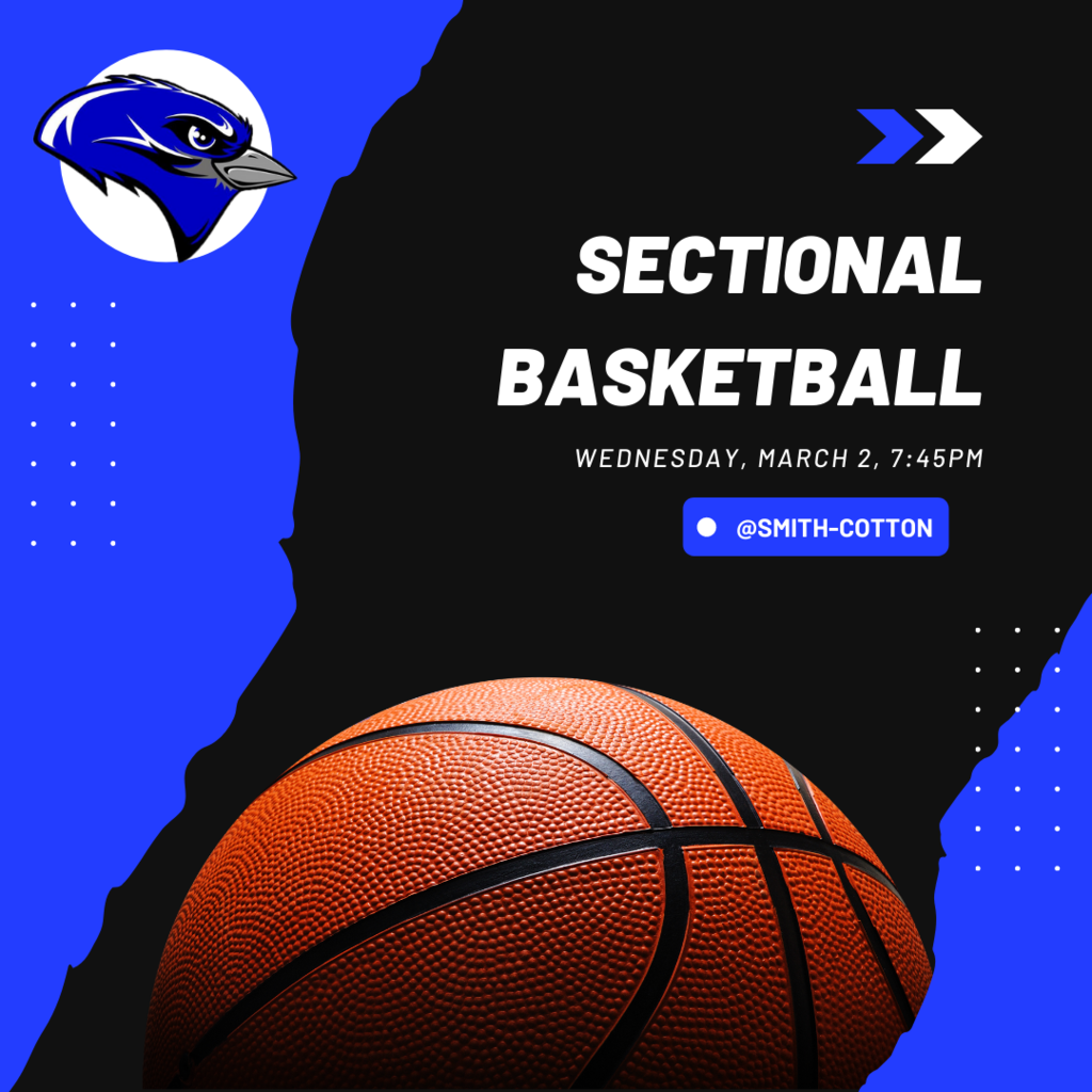 Sectional basketball