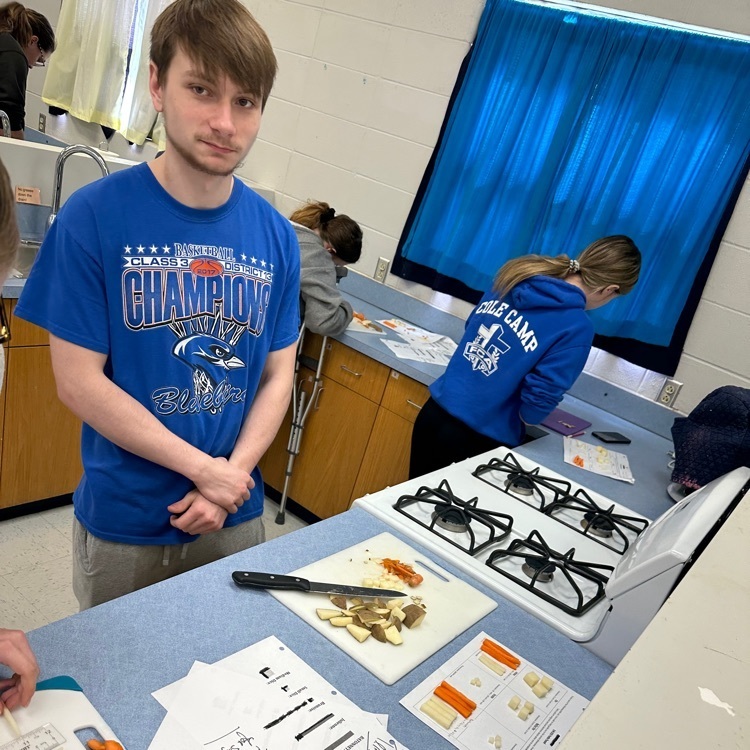 Live Feed Cole Camp R1 School District